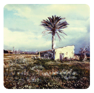 Pueblos