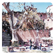 Pueblos